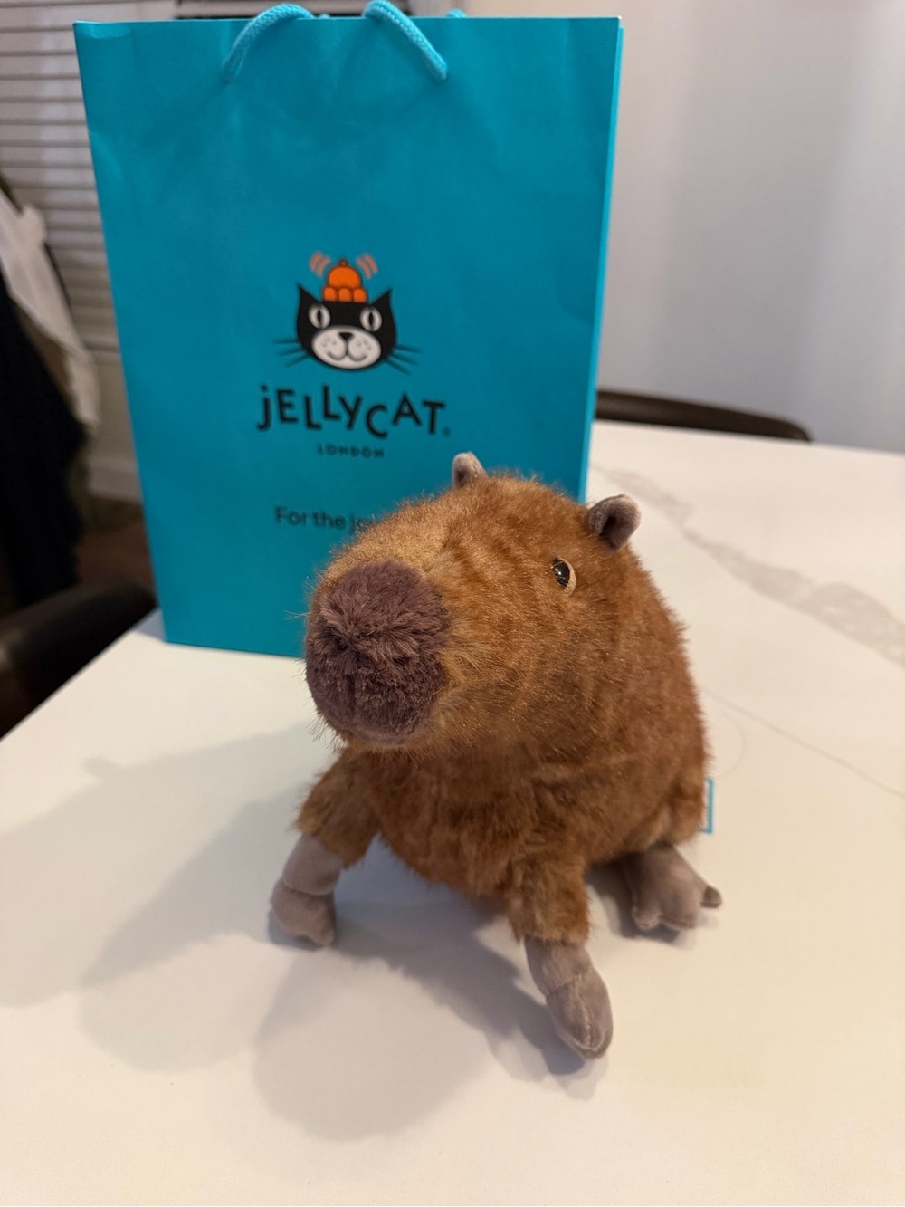 Jellycat Clyde Capybara plush toy, specifically the 8-inch size